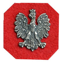 orzeł.jpg