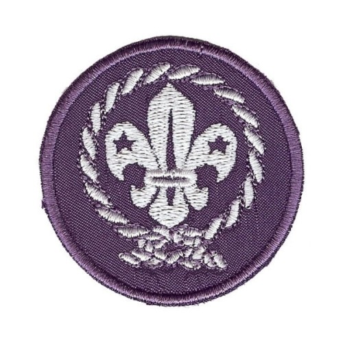 WOSM.jpg