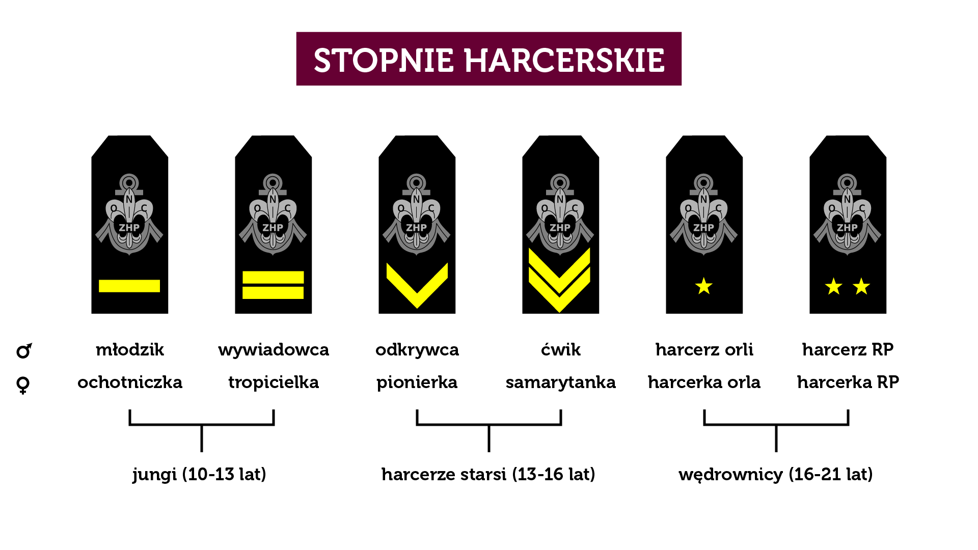Patka wodniacka Składnica Harcerska Internetowa Lilijka